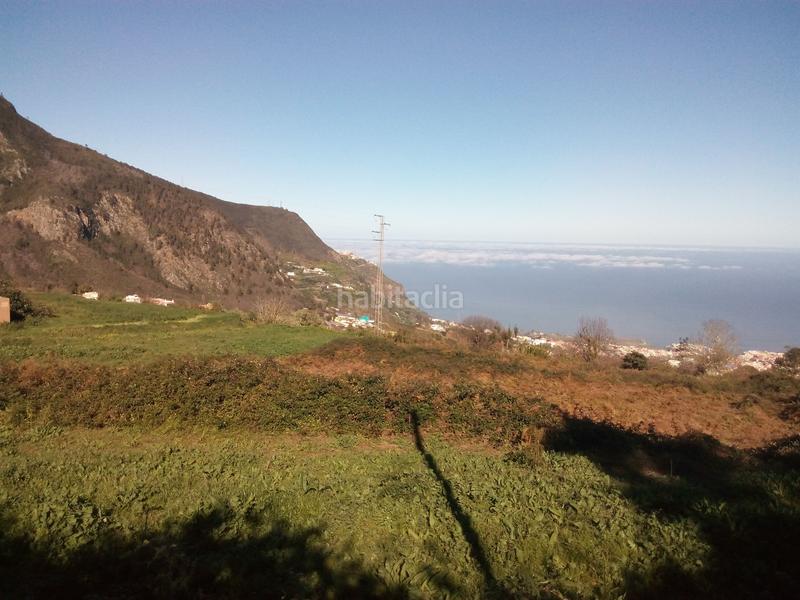 Foto 80595361-2d41-4b30-927c-8aa893937b4f. Finca rústica a camino los angostos 57 a Palo Blanco Realejos (Los) Foto 80595361-2d41-4b30-927c-8aa893937b4f. Finca rústica a camino los angostos 57 a Palo Blanco Realejos (Los)