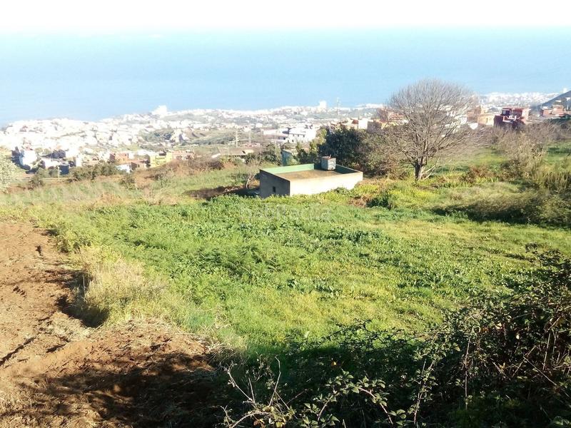 Foto 8541dde0-e495-4bc3-b24b-bedccb617285. Finca rústica a camino los angostos 57 a Palo Blanco Realejos (Los) Foto 8541dde0-e495-4bc3-b24b-bedccb617285. Finca rústica a camino los angostos 57 a Palo Blanco Realejos (Los)