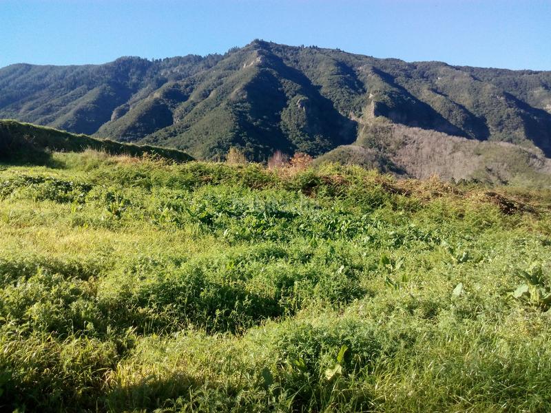 Foto 8e17f8ae-77e1-4e29-b40d-58930e64405a. Finca rústica a camino los angostos 57 a Palo Blanco Realejos (Los) Foto 8e17f8ae-77e1-4e29-b40d-58930e64405a. Finca rústica a camino los angostos 57 a Palo Blanco Realejos (Los)