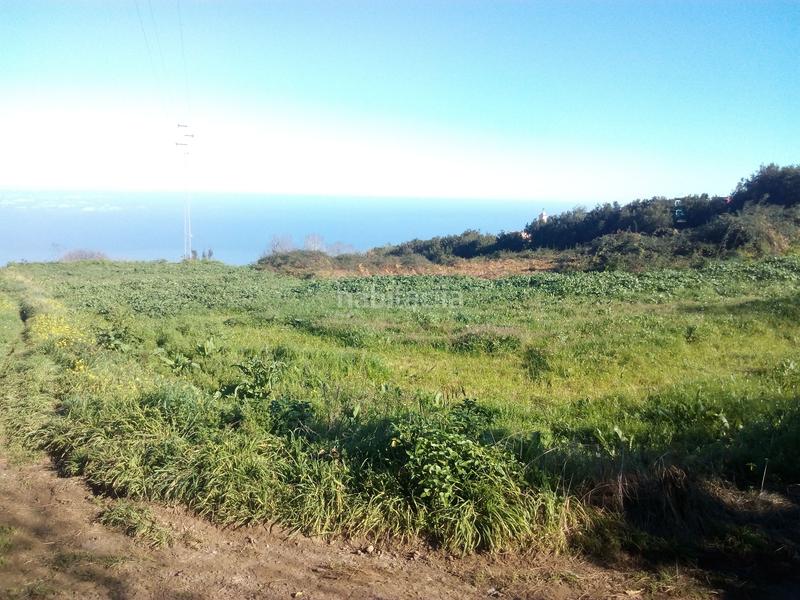 Foto 9f57013f-dd66-4cfb-9a36-3bddb1bdf432. Finca rústica a camino los angostos 57 a Palo Blanco Realejos (Los) Foto 9f57013f-dd66-4cfb-9a36-3bddb1bdf432. Finca rústica a camino los angostos 57 a Palo Blanco Realejos (Los)