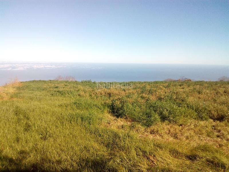 Foto a168eed1-b3d8-41d6-a8b0-4dcf04c7171d. Finca rústica a camino los angostos 57 a Palo Blanco Realejos (Los) Foto a168eed1-b3d8-41d6-a8b0-4dcf04c7171d. Finca rústica a camino los angostos 57 a Palo Blanco Realejos (Los)