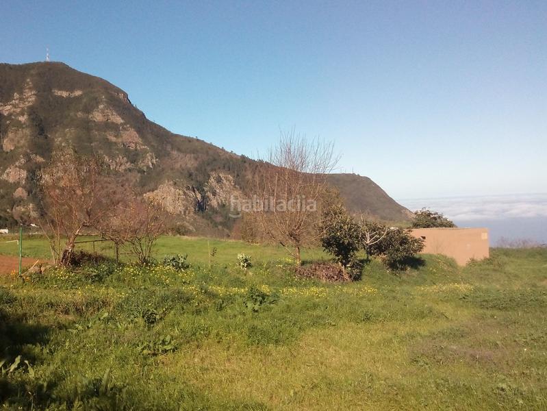 Foto cb266b88-8c9f-46fb-ab29-d475bc83a03b. Finca rústica a camino los angostos 57 a Palo Blanco Realejos (Los) Foto cb266b88-8c9f-46fb-ab29-d475bc83a03b. Finca rústica a camino los angostos 57 a Palo Blanco Realejos (Los)