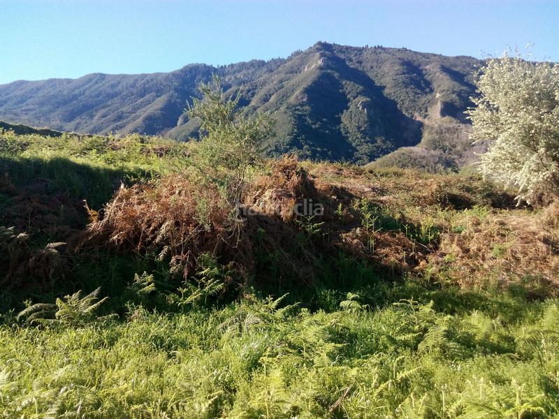 Foto e0c1ee35-a089-445f-aa52-17244ec1790a. Finca rústica a camino los angostos 57 a Palo Blanco Realejos (Los) Foto e0c1ee35-a089-445f-aa52-17244ec1790a. Finca rústica a camino los angostos 57 a Palo Blanco Realejos (Los)