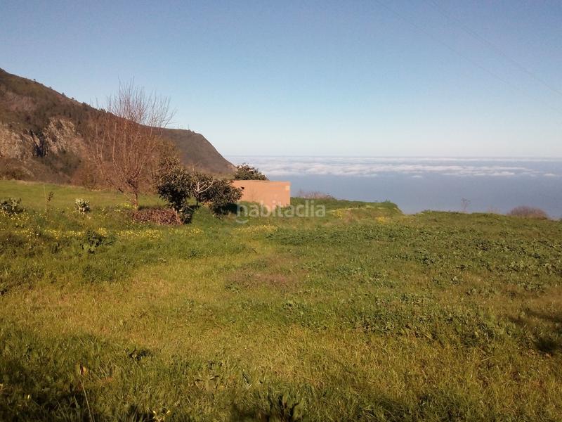 Foto e4971d88-3b93-4781-972e-75dd9f95f5bb. Finca rústica a camino los angostos 57 a Palo Blanco Realejos (Los) Foto e4971d88-3b93-4781-972e-75dd9f95f5bb. Finca rústica a camino los angostos 57 a Palo Blanco Realejos (Los)