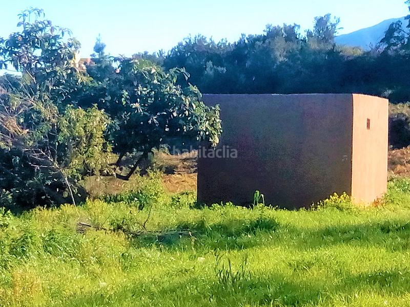 Foto fcf4111e-2880-4ac2-b8d8-678a51607700. Finca rústica a camino los angostos 57 a Palo Blanco Realejos (Los) Foto fcf4111e-2880-4ac2-b8d8-678a51607700. Finca rústica a camino los angostos 57 a Palo Blanco Realejos (Los)