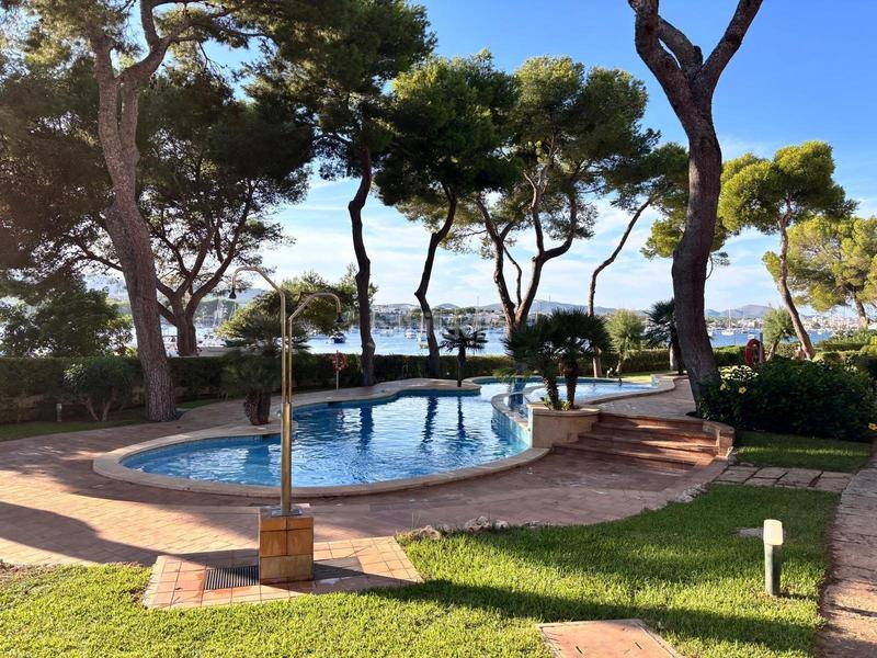 Foto 426f34ee-3b93-4e1d-9473-f847aad8ec47. Appartamento in Portocolom Felanitx Foto 426f34ee-3b93-4e1d-9473-f847aad8ec47. Appartamento in Portocolom Felanitx