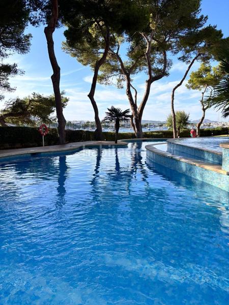 Foto 62fe67a1-3388-4a04-a199-fff96aabbedc. Appartamento in Portocolom Felanitx Foto 62fe67a1-3388-4a04-a199-fff96aabbedc. Appartamento in Portocolom Felanitx