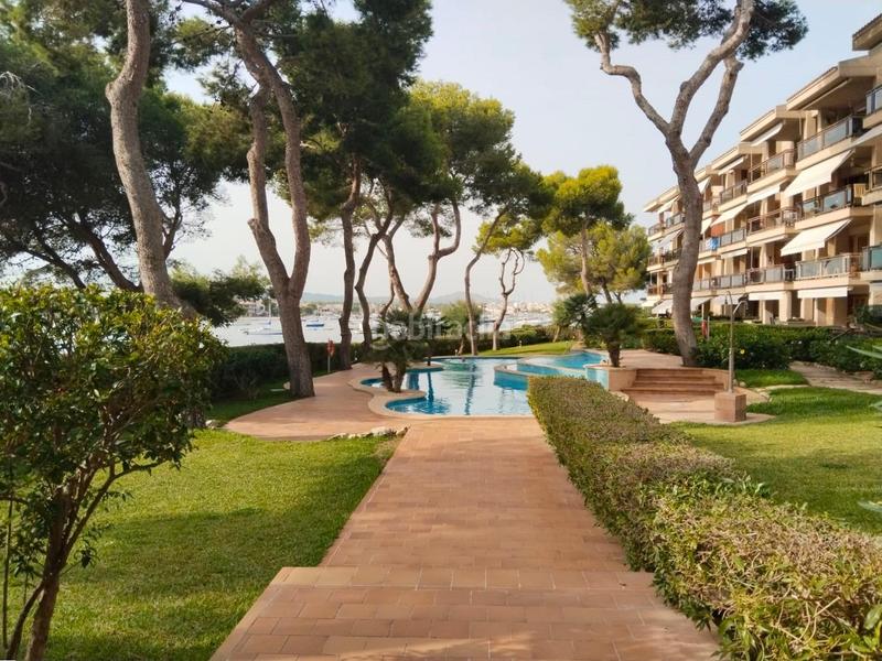 Foto b99578c2-0a74-4b84-a969-de3d4a35e399. Appartamento in Portocolom Felanitx Foto b99578c2-0a74-4b84-a969-de3d4a35e399. Appartamento in Portocolom Felanitx