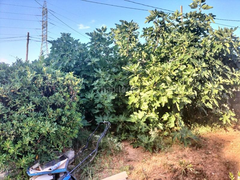 Foto 531bcf5e-835d-46b5-a80c-0760cda6cc55. Terreny residencial a Castellbisbal Foto 531bcf5e-835d-46b5-a80c-0760cda6cc55. Terreny residencial a Castellbisbal