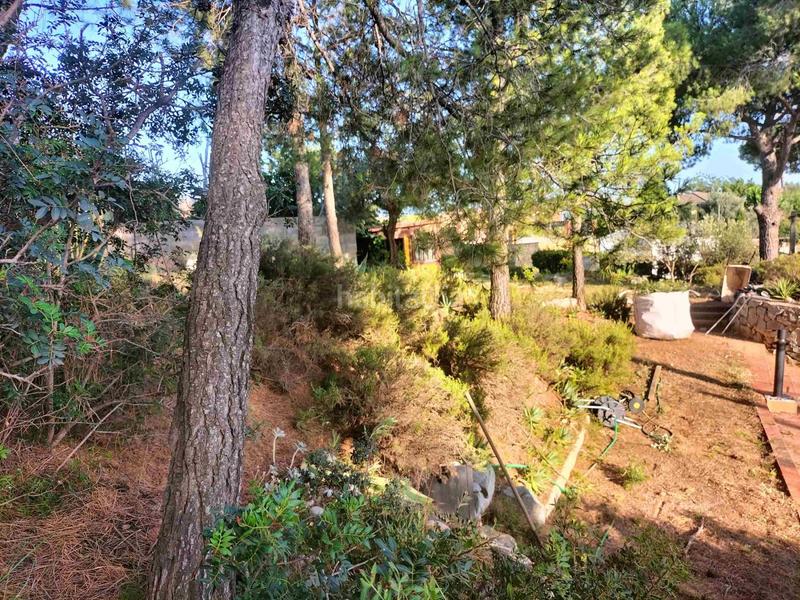 Foto a7495ecb-4ba1-46c3-8174-1abd7fc13885. Terreny residencial a Castellbisbal Foto a7495ecb-4ba1-46c3-8174-1abd7fc13885. Terreny residencial a Castellbisbal