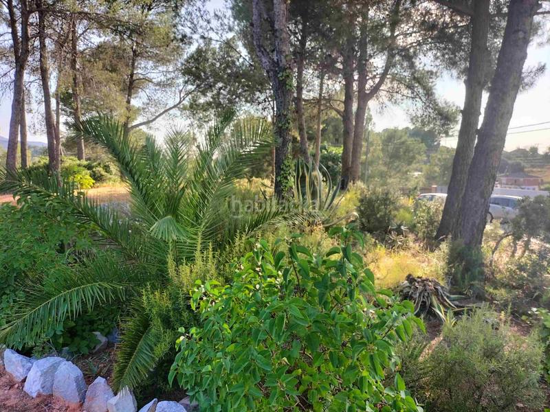 Foto cf947941-04f8-4704-93b3-2ad72d34c6d5. Terreny residencial a Castellbisbal Foto cf947941-04f8-4704-93b3-2ad72d34c6d5. Terreny residencial a Castellbisbal