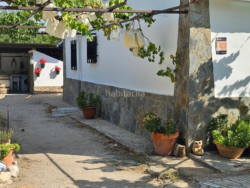 Foto 8b30185a-7e83-4b5b-af86-56b89857c2d6. Chalet con riscaldamento piscina in Pedanías - Extrarradio Albacete Foto 8b30185a-7e83-4b5b-af86-56b89857c2d6. Chalet con riscaldamento piscina in Pedanías - Extrarradio Albacete