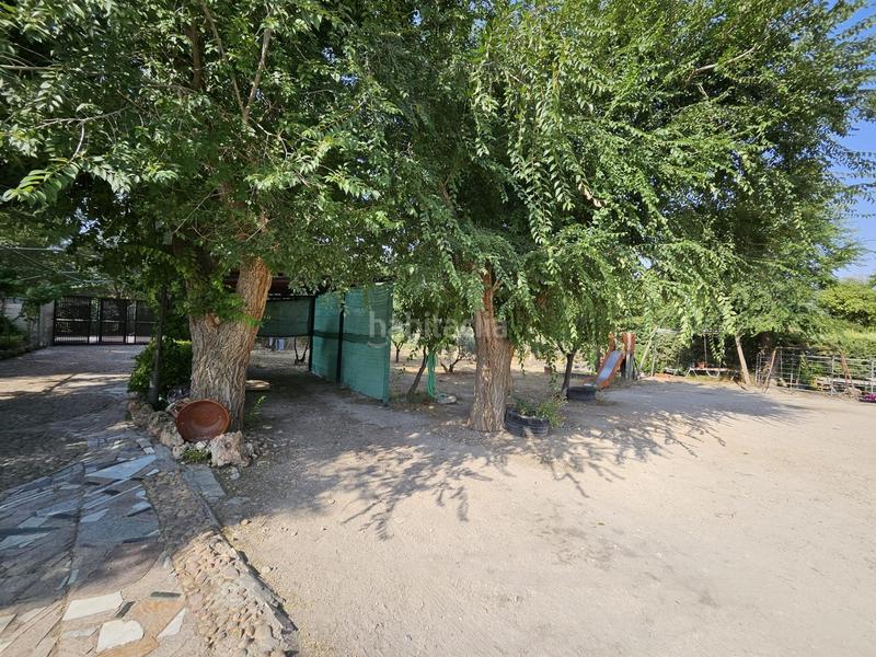 Foto 94a516bf-8dc9-42f2-ae5b-a89ec2113cf7. Chalet con riscaldamento piscina in Pedanías - Extrarradio Albacete Foto 94a516bf-8dc9-42f2-ae5b-a89ec2113cf7. Chalet con riscaldamento piscina in Pedanías - Extrarradio Albacete