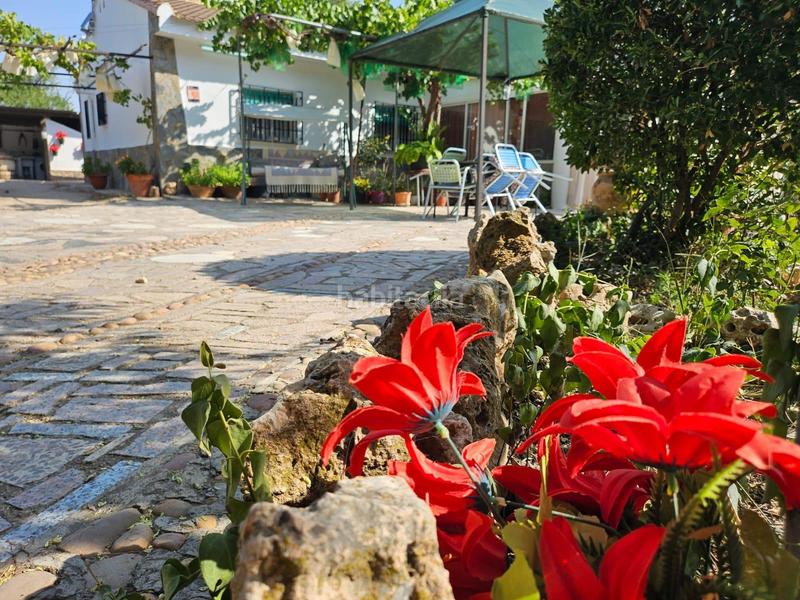 Foto df5629f6-20c4-4eff-bb27-1c7267672539. Chalet con riscaldamento piscina in Pedanías - Extrarradio Albacete Foto df5629f6-20c4-4eff-bb27-1c7267672539. Chalet con riscaldamento piscina in Pedanías - Extrarradio Albacete