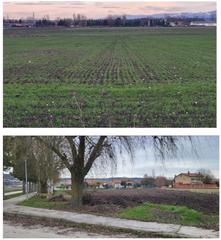 Terreny residencial Merindad de río ubierna - tr santiago villav-peñahora. Villaverde peñahorada Terreny residencial Merindad de río ubierna - tr santiago villav-peñahora. Villaverde peñahorada
