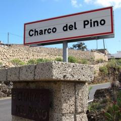 Estudio en Charco del Pino. Apartaestudio en charco del pino Estudio en Charco del Pino. Apartaestudio en charco del pino