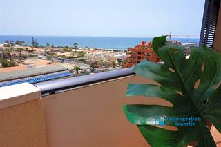 Apartament  El palmar. Se vende en el palm mar apartamento de 1 dormitorio Apartament  El palmar. Se vende en el palm mar apartamento de 1 dormitorio