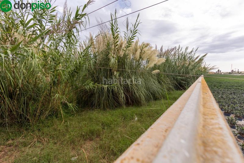 Foto 0834d31d-140f-4fcc-a368-6214944ff3c0. Terreny residencial a Motril ciudad Motril Foto 0834d31d-140f-4fcc-a368-6214944ff3c0. Terreny residencial a Motril ciudad Motril