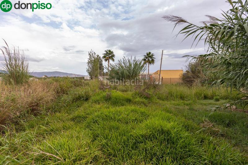 Foto dce4a17e-8bc0-4242-8678-e8ea4d44f478. Terreny residencial a Motril ciudad Motril Foto dce4a17e-8bc0-4242-8678-e8ea4d44f478. Terreny residencial a Motril ciudad Motril