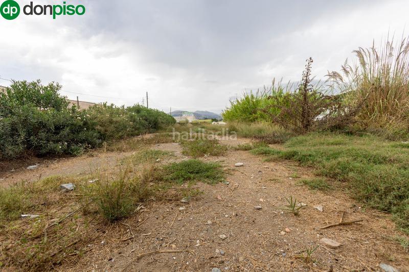 Foto e50b997c-24d3-4b63-b7f1-4ec17fe79ce9. Terreny residencial a Motril ciudad Motril Foto e50b997c-24d3-4b63-b7f1-4ec17fe79ce9. Terreny residencial a Motril ciudad Motril