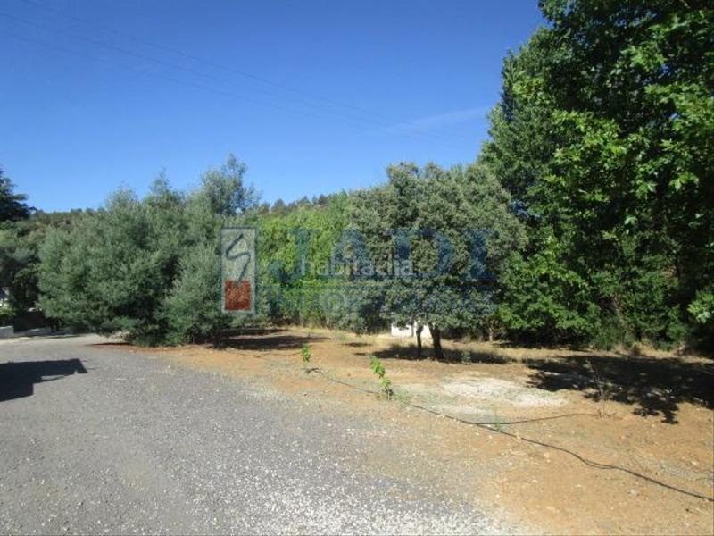 Foto 085ad5a2-6090-4587-98cf-496805c83a41. Masia amb calefacció aparcament a Almuradiel Foto 085ad5a2-6090-4587-98cf-496805c83a41. Masia amb calefacció aparcament a Almuradiel