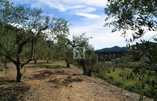 Rural plot in T-313 5. Finca agrícola de 1ha con agua – duesaigües | tarragona Rural plot in T-313 5. Finca agrícola de 1ha con agua – duesaigües | tarragona