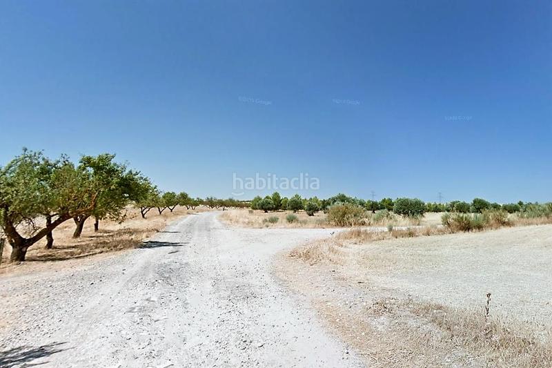 Foto 48f8a973-168e-451f-ab9b-e8893e14a0d7. Finca rústica venta finca rústica en "el rastrero" , toledo. en Seseña Foto 48f8a973-168e-451f-ab9b-e8893e14a0d7. Finca rústica venta finca rústica en "el rastrero" , toledo. en Seseña