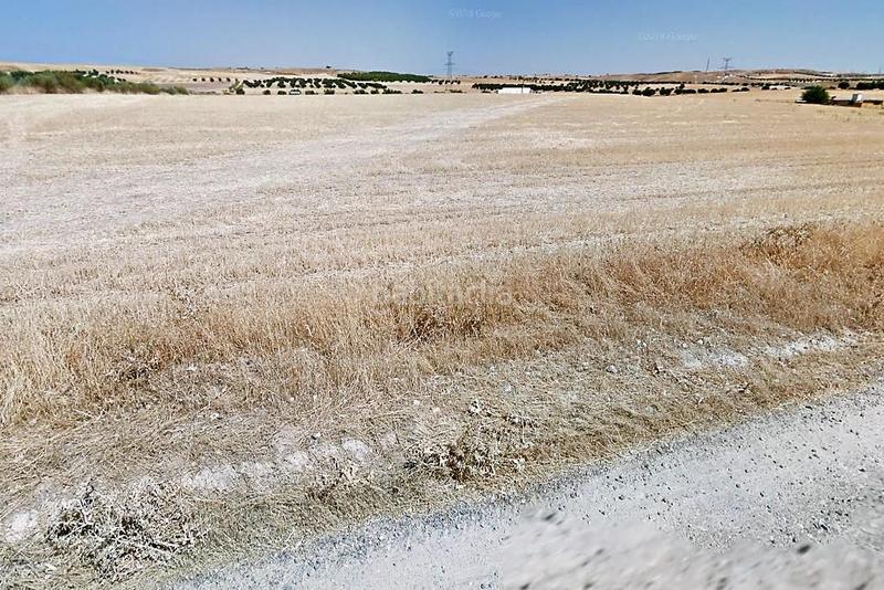 Foto 5caea1e3-90f2-4ac4-ba82-e3051c2a3bb9. Finca rústica venta finca rústica en "el rastrero" , toledo. en Seseña Foto 5caea1e3-90f2-4ac4-ba82-e3051c2a3bb9. Finca rústica venta finca rústica en "el rastrero" , toledo. en Seseña