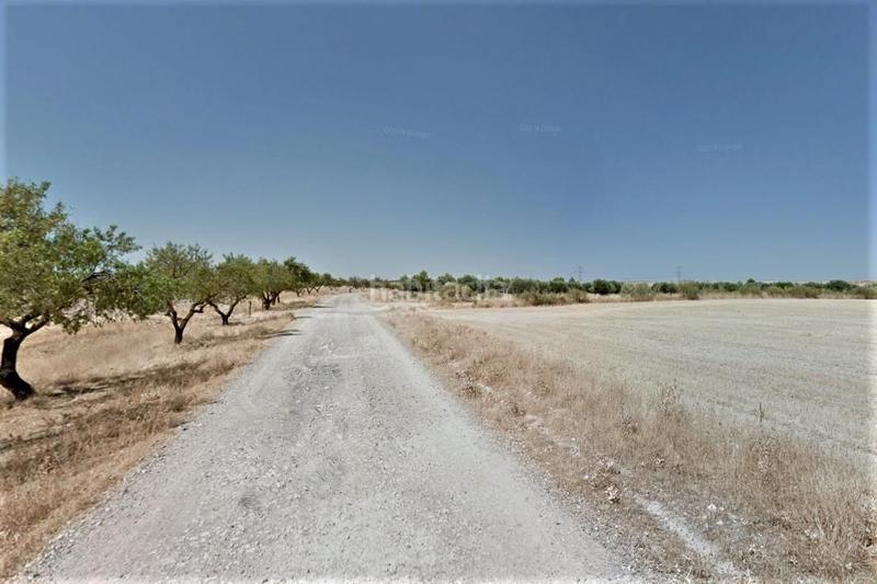 Foto 6617bfbe-ad17-44de-ba79-cc3db24e9010. Finca rústica venta finca rústica en "el rastrero" , toledo. en Seseña Foto 6617bfbe-ad17-44de-ba79-cc3db24e9010. Finca rústica venta finca rústica en "el rastrero" , toledo. en Seseña