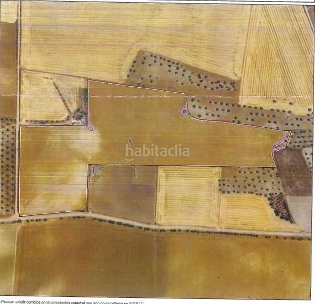 Foto 973f35a7-d405-448f-a6d7-186871789250. Finca rústica venta finca rústica en "el rastrero" , toledo. en Seseña Foto 973f35a7-d405-448f-a6d7-186871789250. Finca rústica venta finca rústica en "el rastrero" , toledo. en Seseña