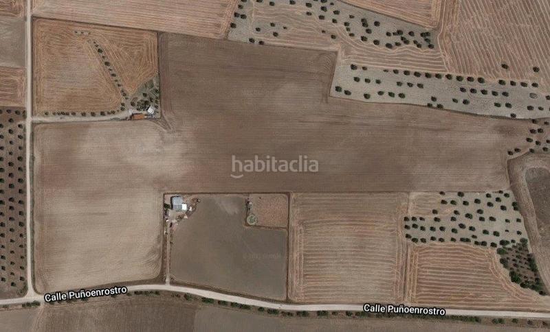 Foto ef2d6f01-3268-4eb7-9f2c-20a534f7805c. Finca rústica venta finca rústica en "el rastrero" , toledo. en Seseña Foto ef2d6f01-3268-4eb7-9f2c-20a534f7805c. Finca rústica venta finca rústica en "el rastrero" , toledo. en Seseña