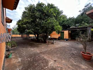 Masia a Valleseco. Finca única en el zumacal valleseco con casa de 376 m y terrenos Masia a Valleseco. Finca única en el zumacal valleseco con casa de 376 m y terrenos