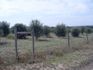 Residential Plot in Barbastro Residential Plot in Barbastro