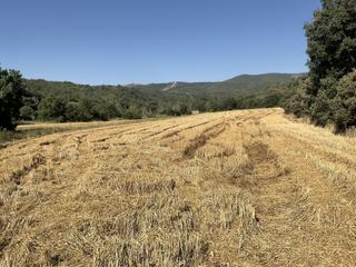 Residential Plot in Naval Residential Plot in Naval