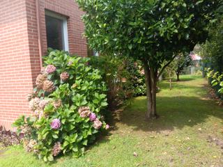 Chalet in Barrio tresagua 8 Chalet in Barrio tresagua 8