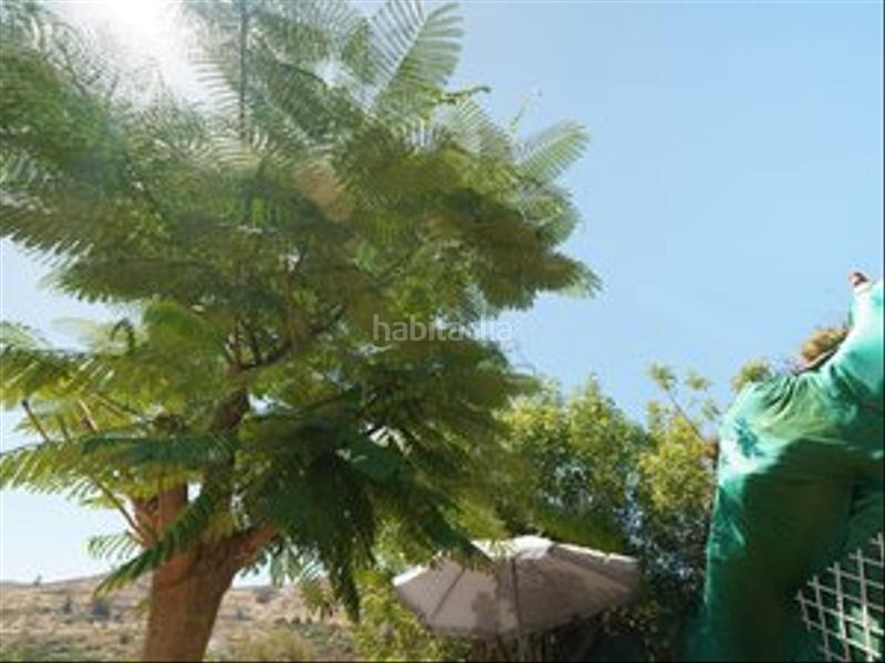 Foto 2c331671-bfd7-47b4-9d88-f9583cbd6ece. Chalet dans buenavista 32 dans Portada Verde - Lomo Espino - Guanche Santa Brígida Foto 2c331671-bfd7-47b4-9d88-f9583cbd6ece. Chalet dans buenavista 32 dans Portada Verde - Lomo Espino - Guanche Santa Brígida