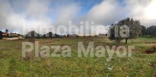 Lloguer Finca rústica a Galindo y Perahuy. 4148 terreno en alquiler, zona urbanizacion campo charro Lloguer Finca rústica a Galindo y Perahuy. 4148 terreno en alquiler, zona urbanizacion campo charro