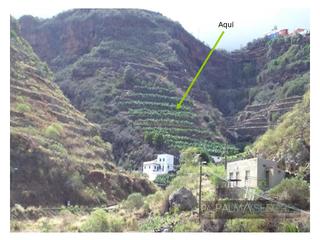 Mas à Barranco de los dolores. Finca plátanos en producción con agua propia y casa en santa cru Mas à Barranco de los dolores. Finca plátanos en producción con agua propia y casa en santa cru