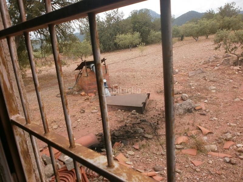 Foto 432a56a2-6776-401a-949b-b1eae36df7ec. Finca rústica a Poble Mont-roig del Camp Foto 432a56a2-6776-401a-949b-b1eae36df7ec. Finca rústica a Poble Mont-roig del Camp