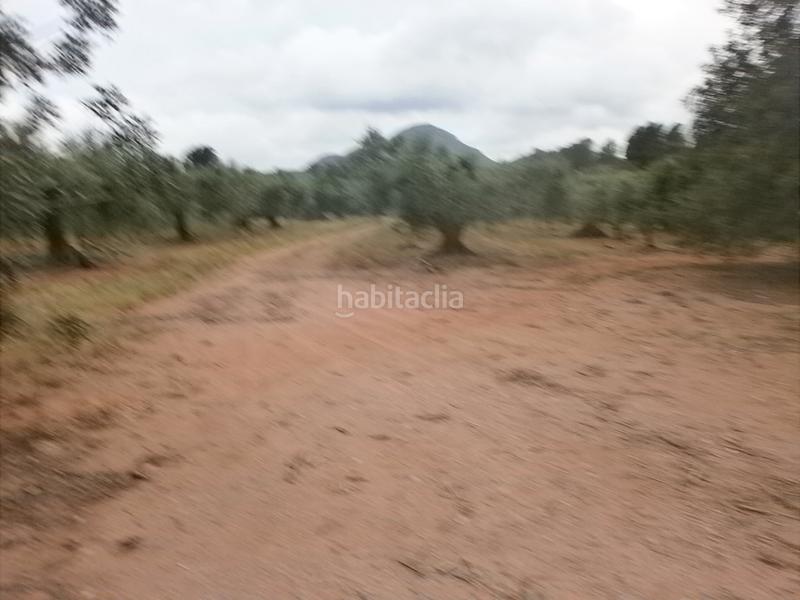 Foto 86a70423-097e-4915-8f05-08ec1f366125. Finca rústica a Poble Mont-roig del Camp Foto 86a70423-097e-4915-8f05-08ec1f366125. Finca rústica a Poble Mont-roig del Camp