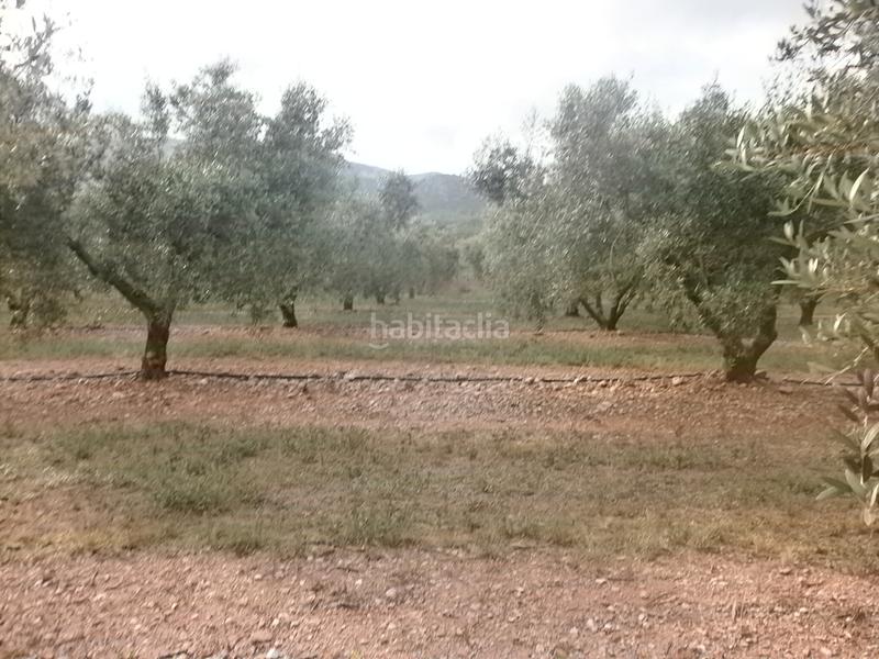 Foto e1fadc90-b427-4b1c-82de-0cc15f3c9b64. Finca rústica a Poble Mont-roig del Camp Foto e1fadc90-b427-4b1c-82de-0cc15f3c9b64. Finca rústica a Poble Mont-roig del Camp