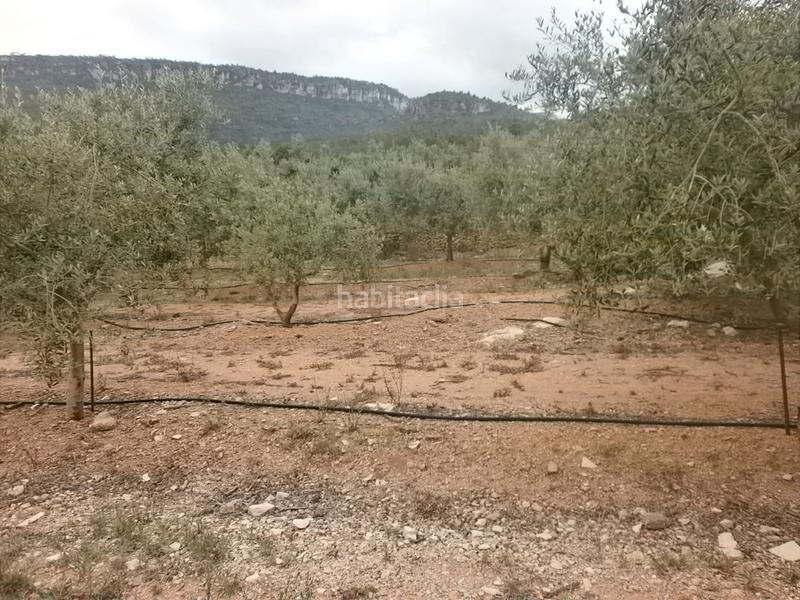 Foto 02b58974-bd4b-472d-92a3-e63e0e48c73f. Finca rústica en Poble Mont-roig del Camp Foto 02b58974-bd4b-472d-92a3-e63e0e48c73f. Finca rústica en Poble Mont-roig del Camp
