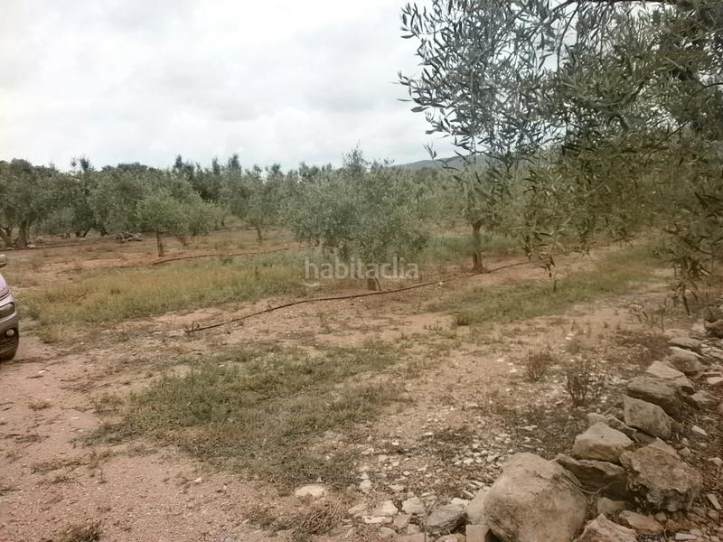 Foto 112fe652-f26e-44e8-87b6-fe0ef96e90f8. Finca rústica en Poble Mont-roig del Camp Foto 112fe652-f26e-44e8-87b6-fe0ef96e90f8. Finca rústica en Poble Mont-roig del Camp