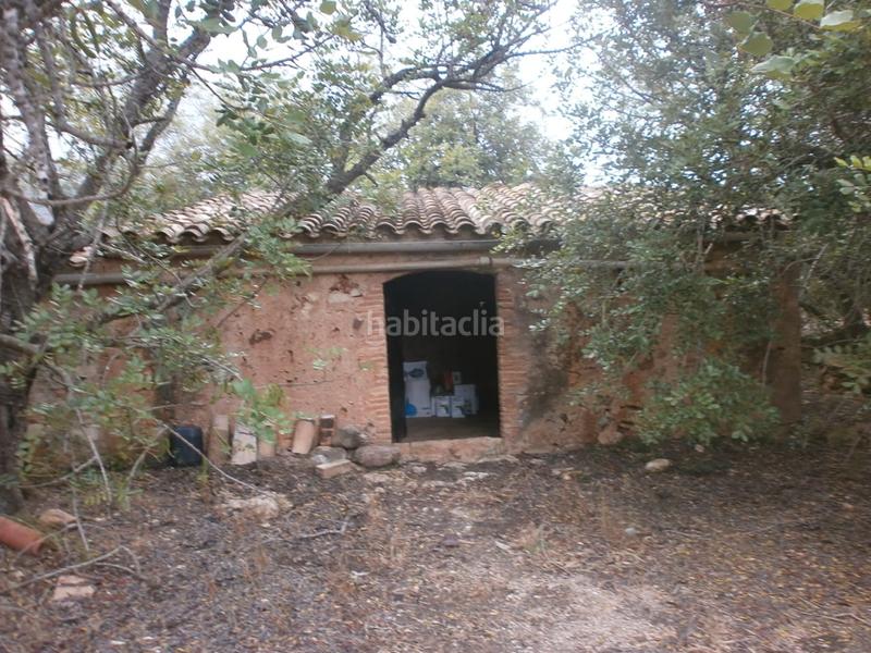 Foto 5bf91a2d-9ec6-4d20-867b-48fedc39af02. Finca rústica en Poble Mont-roig del Camp Foto 5bf91a2d-9ec6-4d20-867b-48fedc39af02. Finca rústica en Poble Mont-roig del Camp