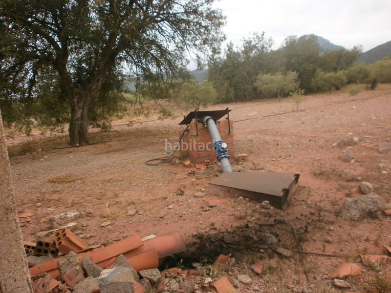 Foto 7f8e2ad9-1d67-41f9-83d3-08f558398eb0. Finca rústica en Poble Mont-roig del Camp Foto 7f8e2ad9-1d67-41f9-83d3-08f558398eb0. Finca rústica en Poble Mont-roig del Camp
