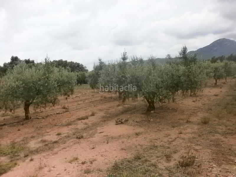 Foto f7820c52-b6d3-45c7-9b39-2f0ee04f42ce. Finca rústica en Poble Mont-roig del Camp Foto f7820c52-b6d3-45c7-9b39-2f0ee04f42ce. Finca rústica en Poble Mont-roig del Camp