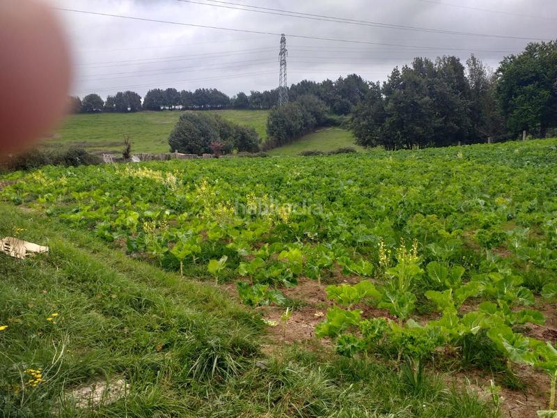 Foto 33411912-f91b-46a9-b4dd-f4914b88d599. Rural plot in Porceyo Gijón Foto 33411912-f91b-46a9-b4dd-f4914b88d599. Rural plot in Porceyo Gijón