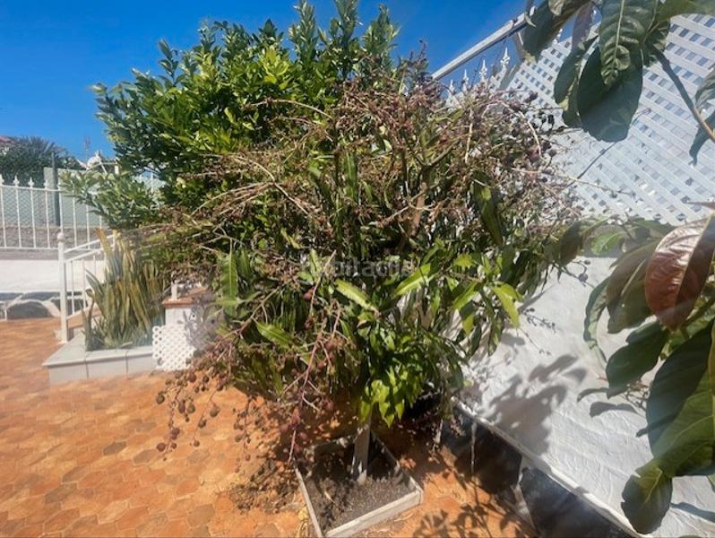 Foto b1651434-505d-45b1-8963-4fc6934ab2e4. Maison avec piscine dans Playa del Inglés San Bartolomé de Tirajana Foto b1651434-505d-45b1-8963-4fc6934ab2e4. Maison avec piscine dans Playa del Inglés San Bartolomé de Tirajana