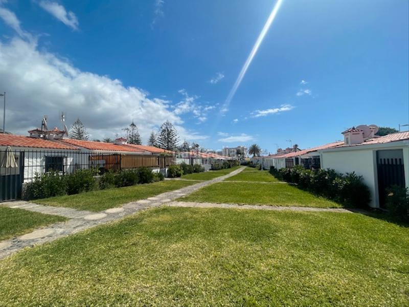 Foto deb8a347-ccca-41bf-aa78-aa962c0b6674. Maison avec piscine dans Playa del Inglés San Bartolomé de Tirajana Foto deb8a347-ccca-41bf-aa78-aa962c0b6674. Maison avec piscine dans Playa del Inglés San Bartolomé de Tirajana