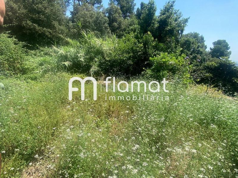 Foto c0bcb64f-47a5-49c5-beff-5c5a67badff5. Wohngrundstück in Can Font-Ca n'Avellaneda Castellar del Vallès Foto c0bcb64f-47a5-49c5-beff-5c5a67badff5. Wohngrundstück in Can Font-Ca n'Avellaneda Castellar del Vallès
